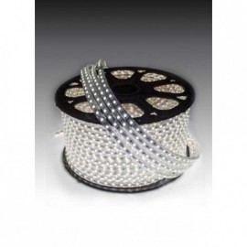 LED TRAKA KL-5050-60-220V-H-6000K